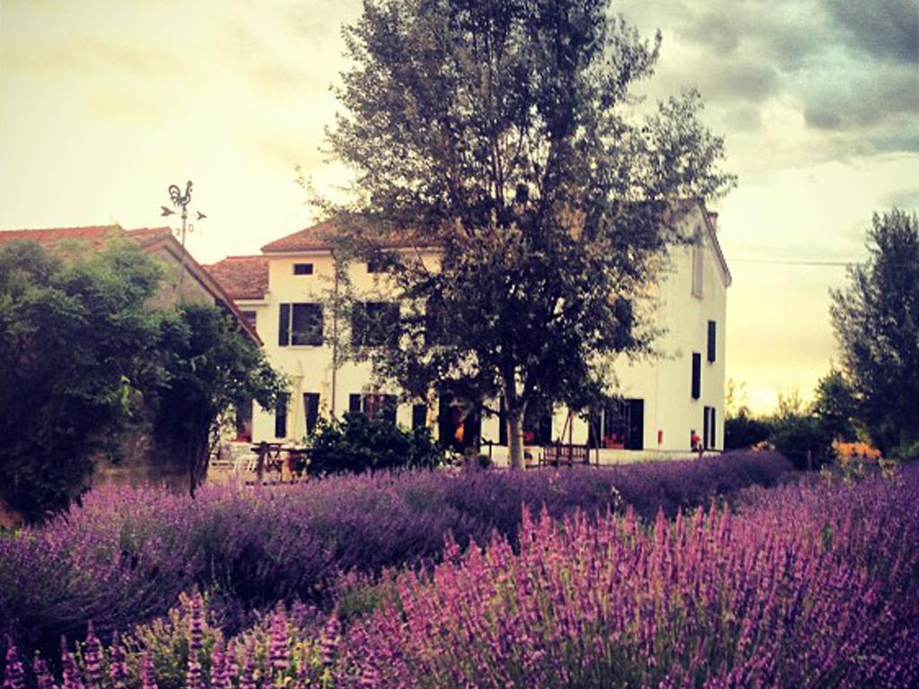 Agriturismo Viridarium Castellucchio Экстерьер фото